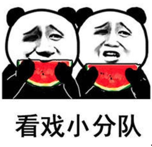 吃瓜群众的快乐,吃瓜群众的快乐盛宴