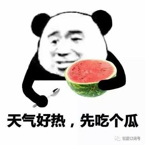 安排好行程娱乐吃瓜酱,一场说走就走的旅行盛宴